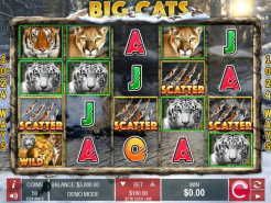 Big Cats